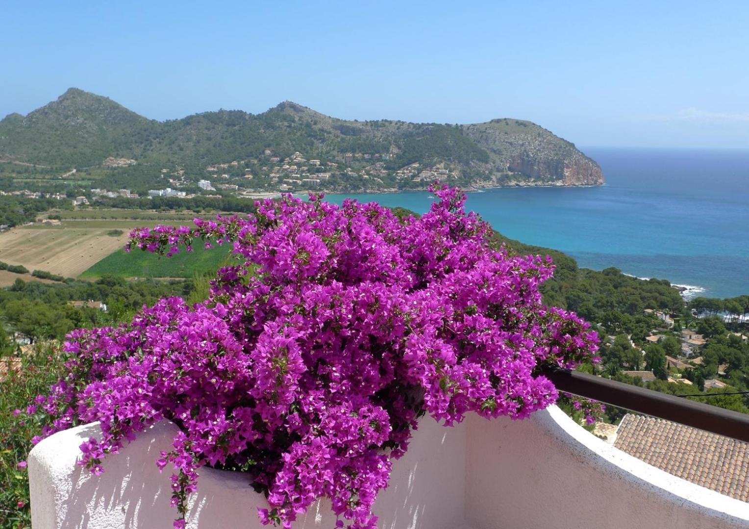 Meervilla Mallorca - Charmantes Ferienhaus Mit Phantastischem Meerblick In Canyamel エクステリア 写真